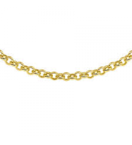 Goud collier jasseron 5.5 mm 45 cm45 cm - 3241658