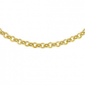 Goud collier jasseron 5.5 mm 45 cm45 cm - 3241658