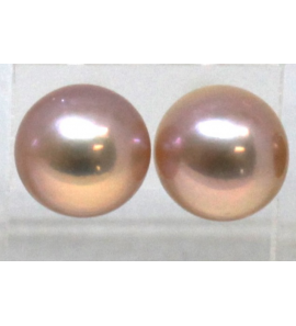 Zilver zw parel oorknop 10-11 mm purple - 3241733