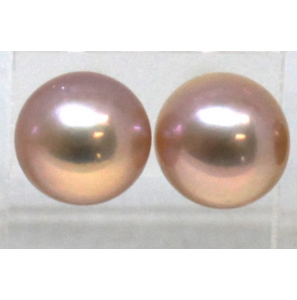 Zilver zw parel oorknop 10-11 mm purple - 3241733