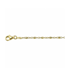 Zilver geel verguld enkelbandje buisjes 24 + 2 cm - 972
