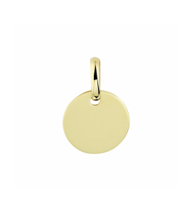 Goud graveerhanger rondje 10 mm - 3230557