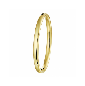ZilGold bangle massief ovale buis 6 x 61 mm - 3230538