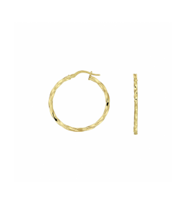 ZilGold oorringen gedraaide buis 2,0x29 mm - 3230537