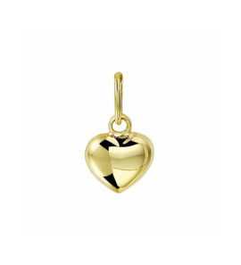 Gouden 9k hanger hartje - 3250104