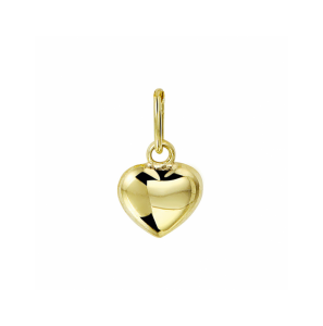 Gouden 9k hanger hartje - 3250104
