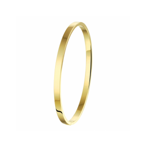 ZilGold bangle scharnier massief vlakke buis 4,0 mm 58 mm - 3240908