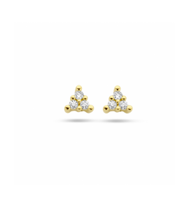 Gouden oorknoppen diamant 0.05ct (2x 0.025ct) h p1 - 3250114