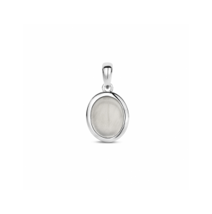 Zilver hanger donkergrijs maansteen - 3230527