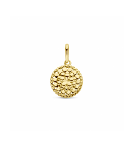 Goud hanger met geboortebloem 10 mm Goudsbloem (Oktober) - 1358