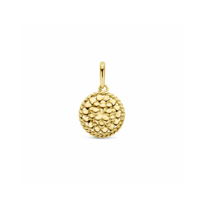 Goud hanger met geboortebloem 10 mm Goudsbloem (Oktober) - 1358