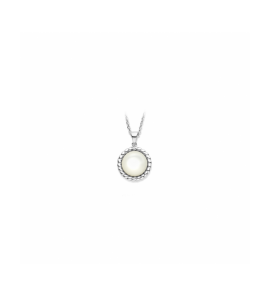 Zilver hanger parelmoer - 3230570