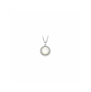 Zilver hanger parelmoer - 3230570