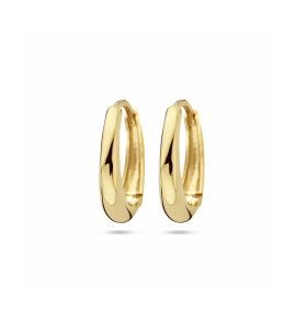 Goud klapoorringen 15.5 x3.5 mm - 3230587