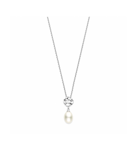 Zilver hanger parel - 3230569