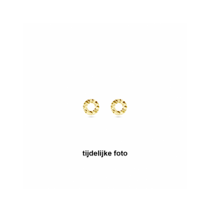 Goud oorknoppen cirkel gediamanteerd - 3230561
