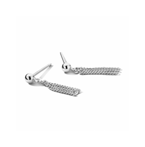 Zilver oorhangers - 3230612