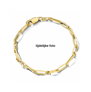 armband closed forever 4,5 mm massief - 3242038