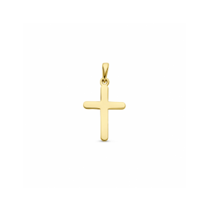 Goud hanger kruis 22x11.5 mm - 3242633