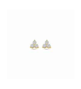 Gouden oorknoppen zirkonia - 3250115