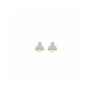 Gouden oorknoppen zirkonia - 3250115