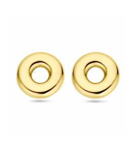 Zilver veguld oorknoppen rondje 32 mm 1 micron - 3242087