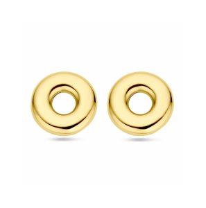 Zilver veguld oorknoppen rondje 32 mm 1 micron - 3242087