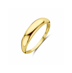 Goud ring - 3242062