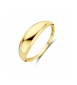 Gouden ring - 3242046