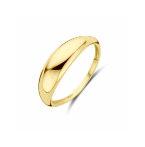 Gouden ring - 3242046