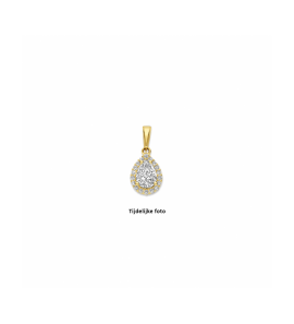 Goud hanger zirkonia halo 16,5 mm - 3250491