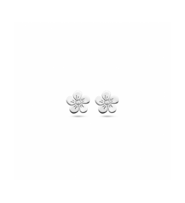 oorknoppen bloem - 3241865
