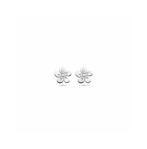 oorknoppen bloem - 3241865