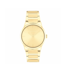 CK Linear Elegance dms stl gp 32mm - 3250216