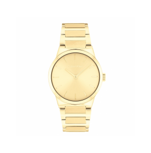 CK Linear Elegance dms stl gp 32mm - 3250216